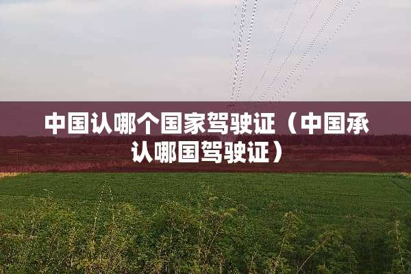 中国认哪个国家***（中国承认哪国***）