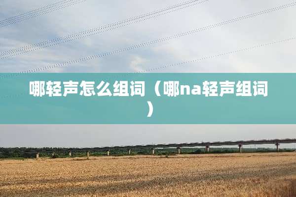 哪轻声怎么组词（哪na轻声组词）