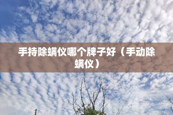 手持除螨仪哪个牌子好（手动除螨仪）
