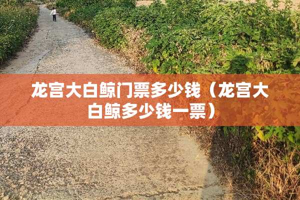 龙宫大白鲸门票多少钱（龙宫大白鲸多少钱一票）