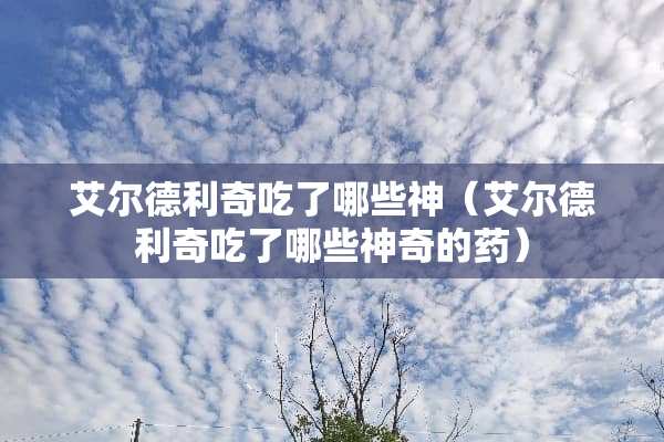 艾尔德利奇吃了哪些神（艾尔德利奇吃了哪些神奇的药）