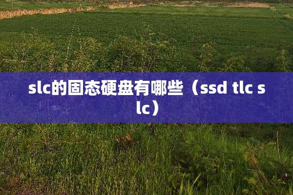 slc的固态硬盘有哪些（ssd tlc slc）