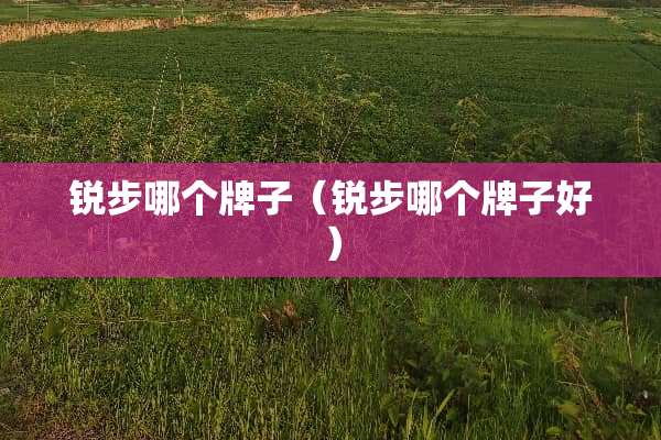 锐步哪个牌子（锐步哪个牌子好）