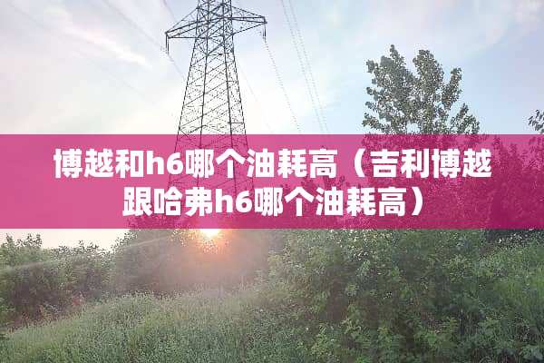 博越和h6哪个油耗高（吉利博越跟哈弗h6哪个油耗高）