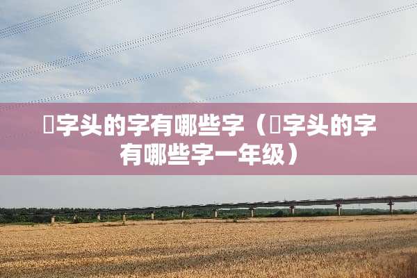 爫字头的字有哪些字（爫字头的字有哪些字一年级）