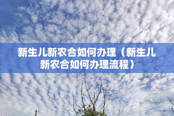 新生儿新农合如何办理（新生儿新农合如何办理流程）