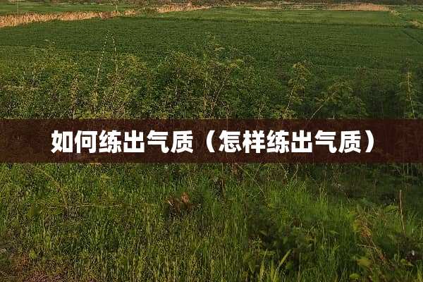 如何练出气质（怎样练出气质）