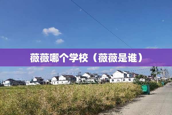 薇薇哪个学校（薇薇是谁）