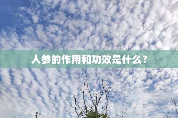 人参的作用和功效是什么？