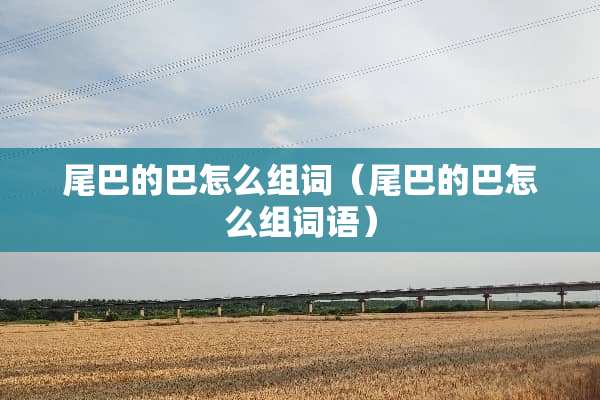 尾巴的巴怎么组词（尾巴的巴怎么组词语）
