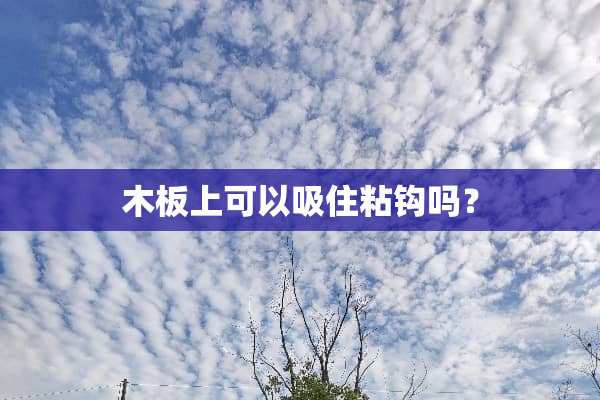 木板上可以吸住粘钩吗？