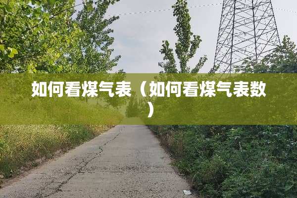 如何看煤气表（如何看煤气表数）