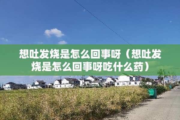 想吐发烧是怎么回事呀（想吐发烧是怎么回事呀吃什么药）