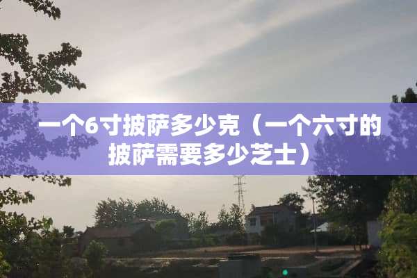 一个6寸披萨多少克（一个六寸的披萨需要多少芝士）