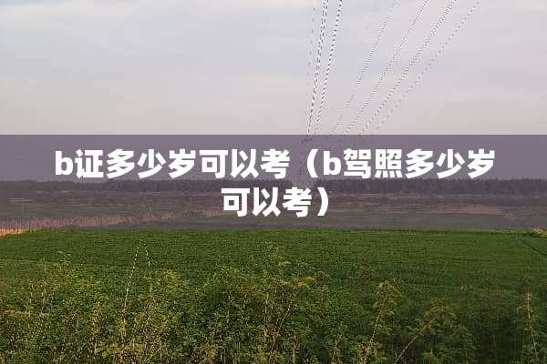 b证多少岁可以考（b驾照多少岁可以考）