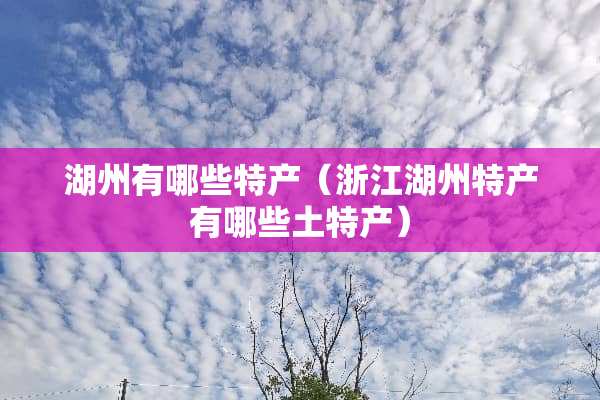 湖州有哪些特产（浙江湖州特产有哪些土特产）