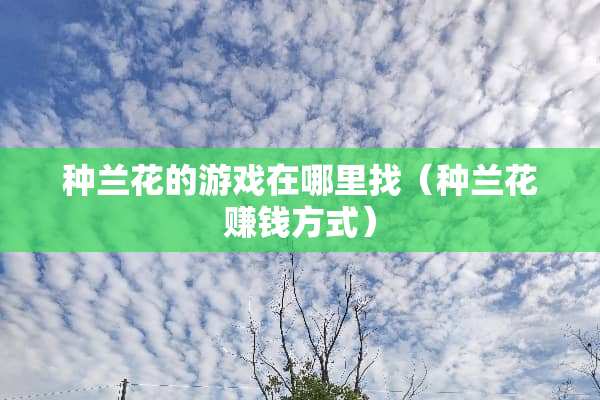 种兰花的游戏在哪里找（种兰花赚钱方式）