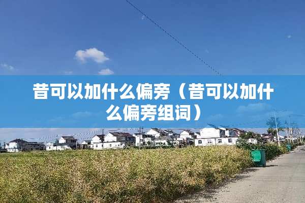昔可以加什么偏旁（昔可以加什么偏旁组词）