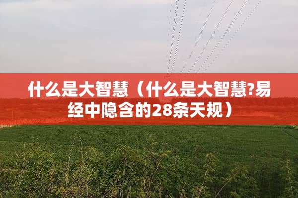什么是大智慧（什么是大智慧?易经中隐含的28条天规）