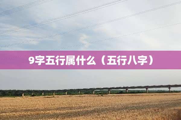 9字五行属什么（五行八字）