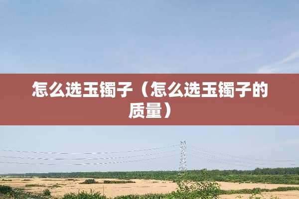 怎么选玉镯子（怎么选玉镯子的质量）