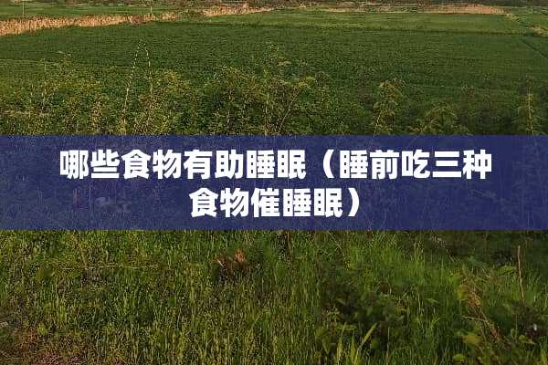 哪些食物有助睡眠（睡前吃三种食物催睡眠）