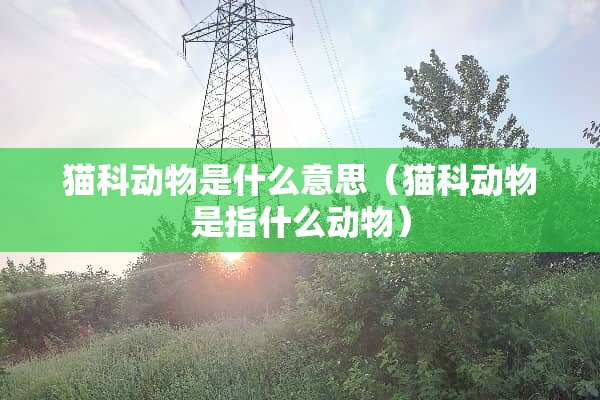 猫科动物是什么意思（猫科动物是指什么动物）