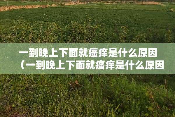 一到晚上下面就瘙痒是什么原因（一到晚上下面就瘙痒是什么原因百度医生）