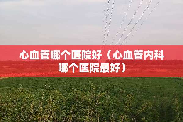 心血管哪个医院好（心血管内科哪个医院最好）