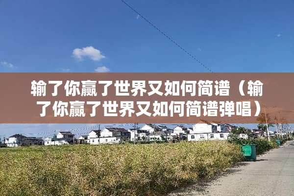 输了你赢了世界又如何简谱（输了你赢了世界又如何简谱弹唱）