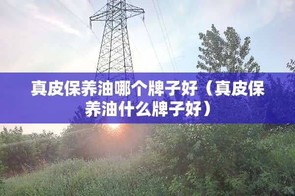 真皮保养油哪个牌子好（真皮保养油什么牌子好）