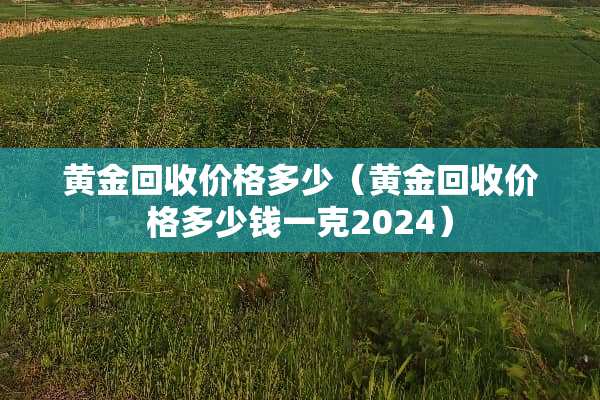 黄金回收价格多少（黄金回收价格多少钱一克2024）
