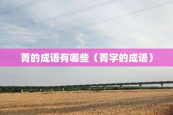 菁的成语有哪些（菁字的成语）