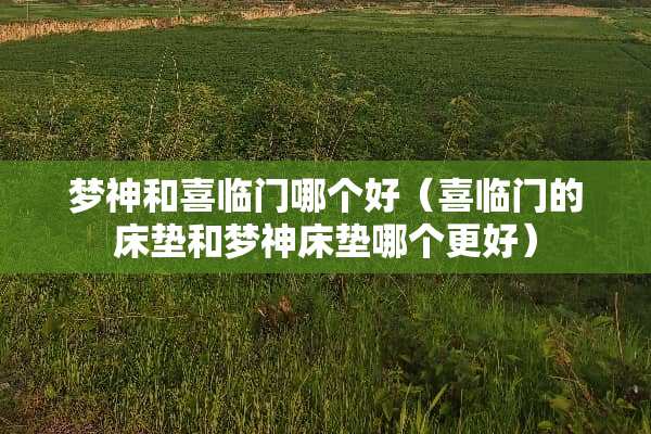 梦神和喜临门哪个好（喜临门的床垫和梦神床垫哪个更好）