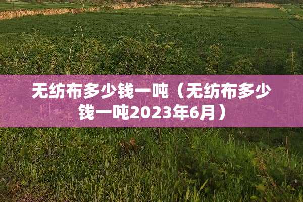 无纺布多少钱一吨（无纺布多少钱一吨2023年6月）