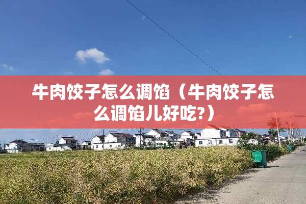 牛肉饺子怎么调馅（牛肉饺子怎么调馅儿好吃?）