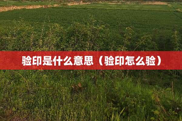 验印是什么意思（验印怎么验）