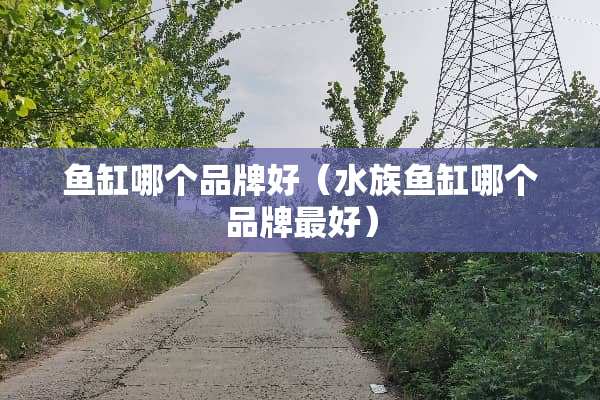 鱼缸哪个品牌好（水族鱼缸哪个品牌最好）