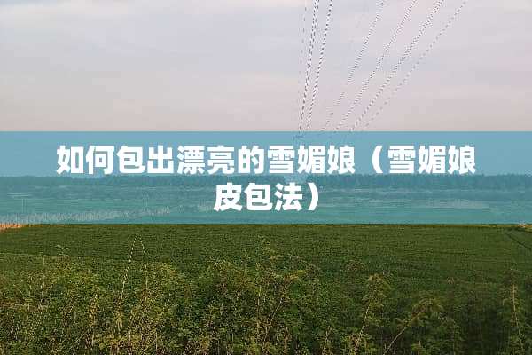 如何包出漂亮的雪媚娘（雪媚娘皮包法）