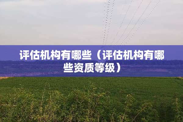 评估机构有哪些（评估机构有哪些资质等级）