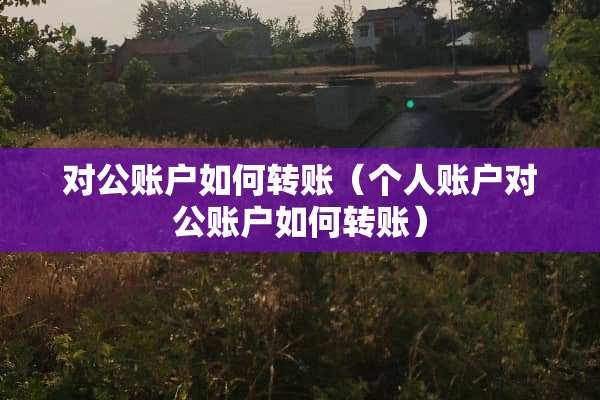 对公账户如何转账（个人账户对公账户如何转账）
