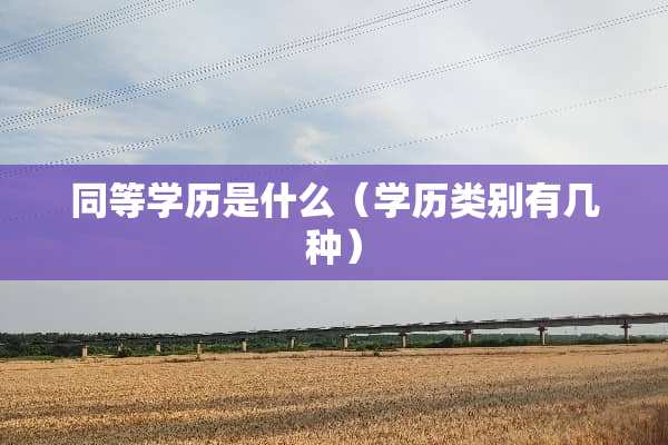 同等学历是什么（学历类别有几种）