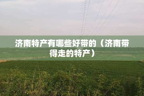 济南特产有哪些好带的（济南带得走的特产）