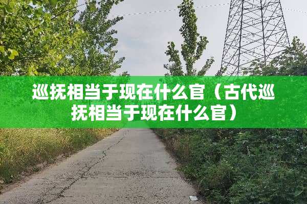 巡抚相当于现在什么官（古代巡抚相当于现在什么官）