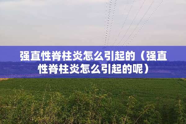 强直性脊柱炎怎么引起的（强直性脊柱炎怎么引起的呢）