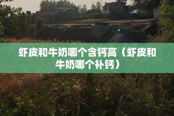 虾皮和牛奶哪个含钙高（虾皮和牛奶哪个补钙）
