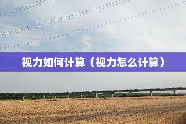 视力如何计算（视力怎么计算）