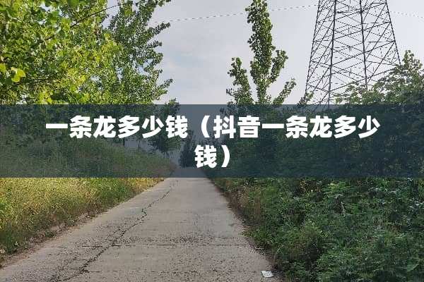 一条龙多少钱（抖音一条龙多少钱）
