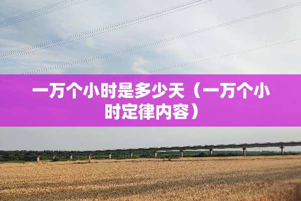一万个小时是多少天（一万个小时定律内容）