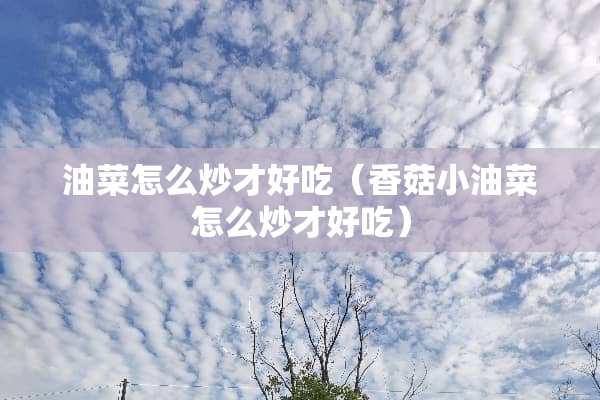 油菜怎么炒才好吃（香菇小油菜怎么炒才好吃）